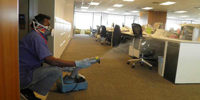 best practices for commercial pest control