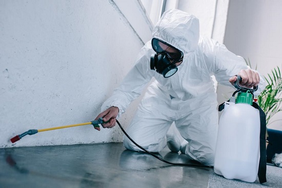 Pest control worker spraying in protective suit