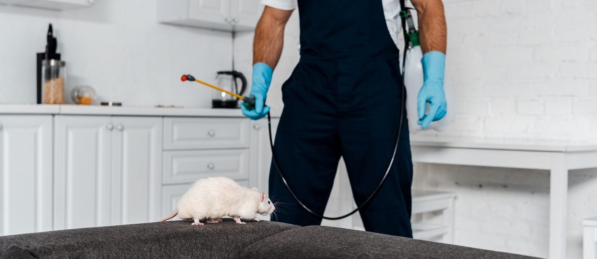 NH Pest Control team ready to serve