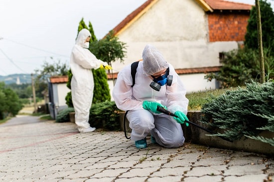 Pest control professional treating a commercial property