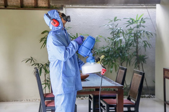 Pest control worker