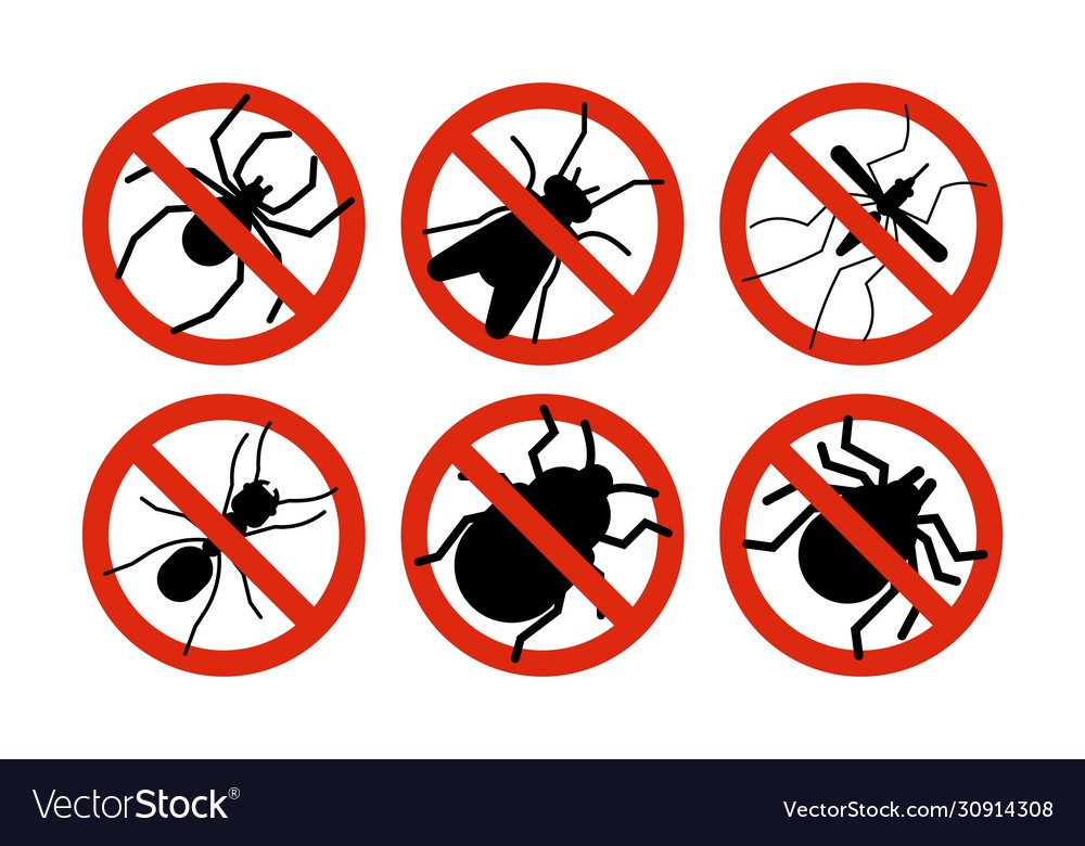 The Ultimate Guide to Commercial Pest Control